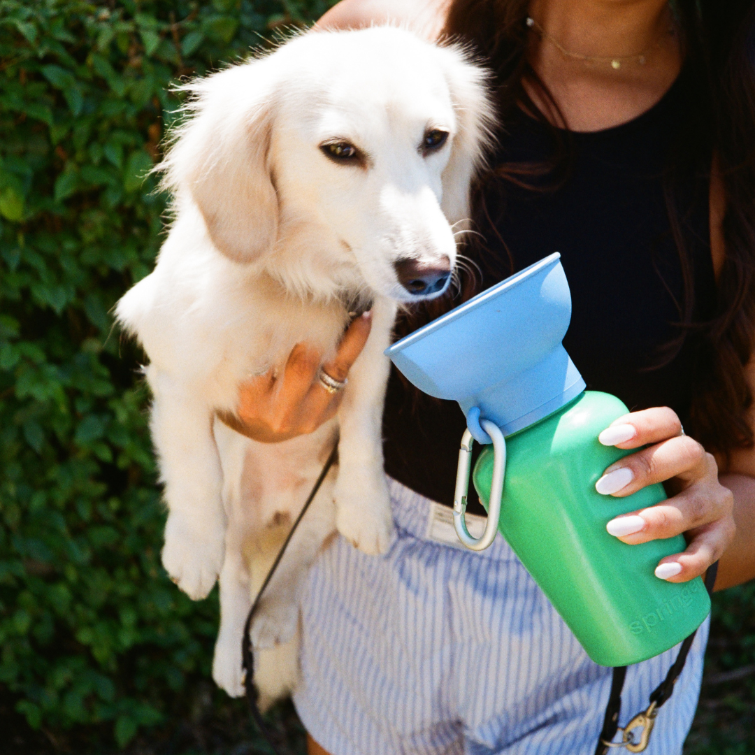 Limited Edition Flip 20oz Dog Travel Water Bottle (Case of 12)