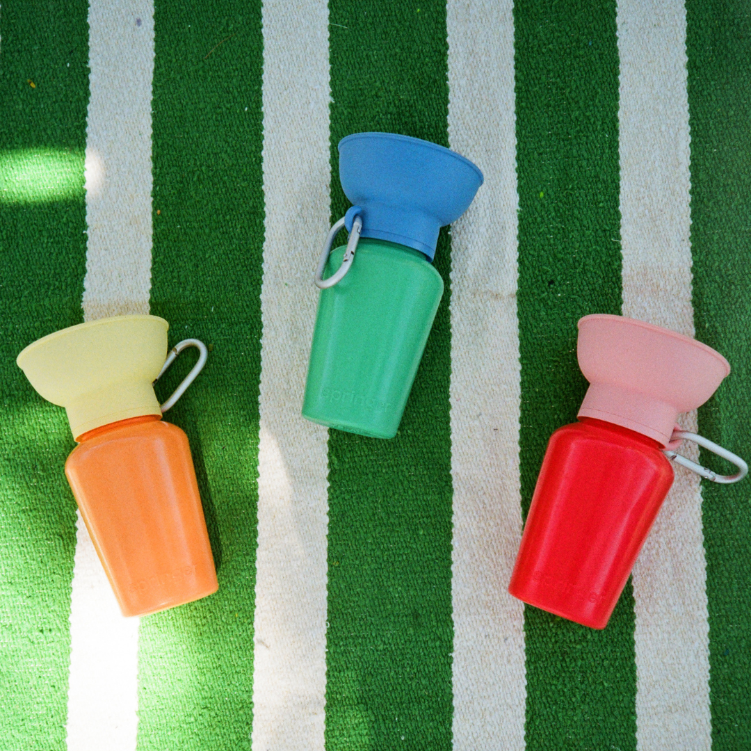 Limited Edition Flip 20oz Dog Travel Water Bottle (Case of 12)