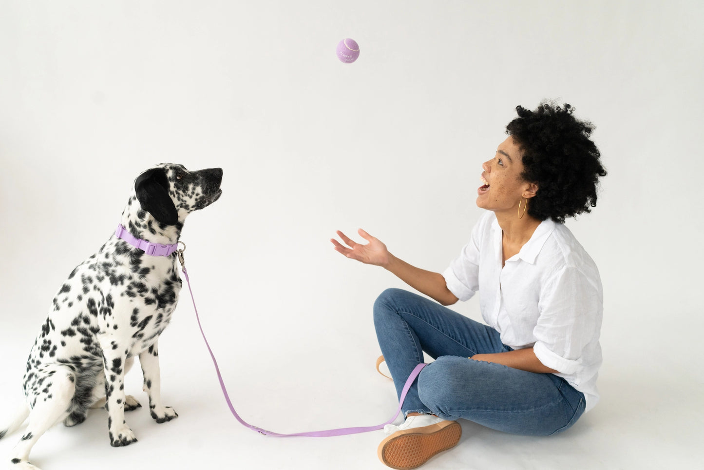 Dog Tennis Balls Assorted Pack of 4 (Case of 6)