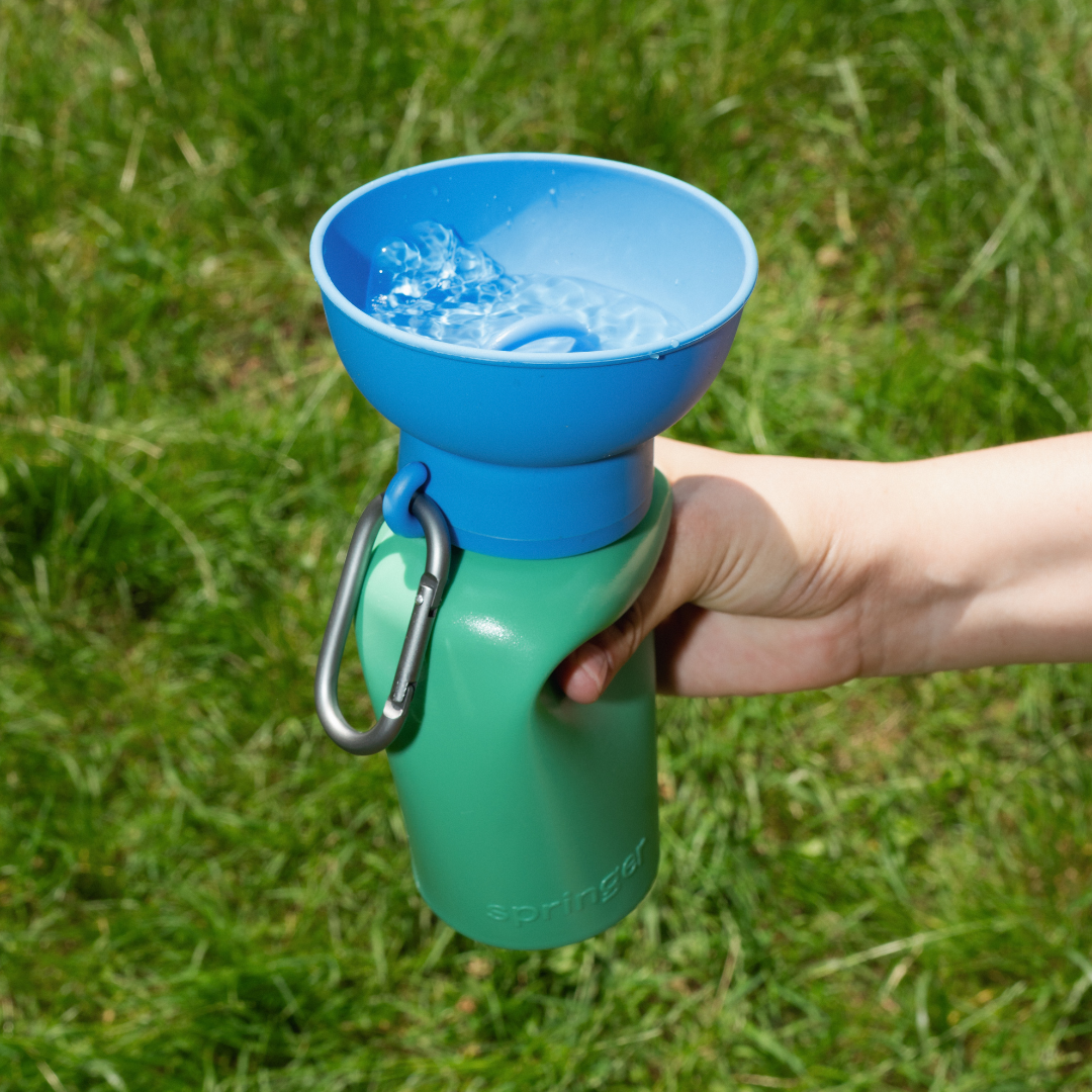 Limited Edition Flip 20oz Dog Travel Water Bottle (Case of 12)