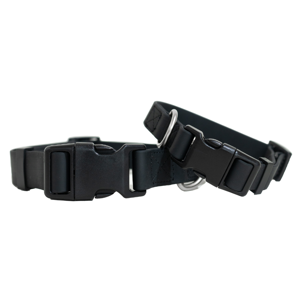 Dog Collar: Extra Large (Single)