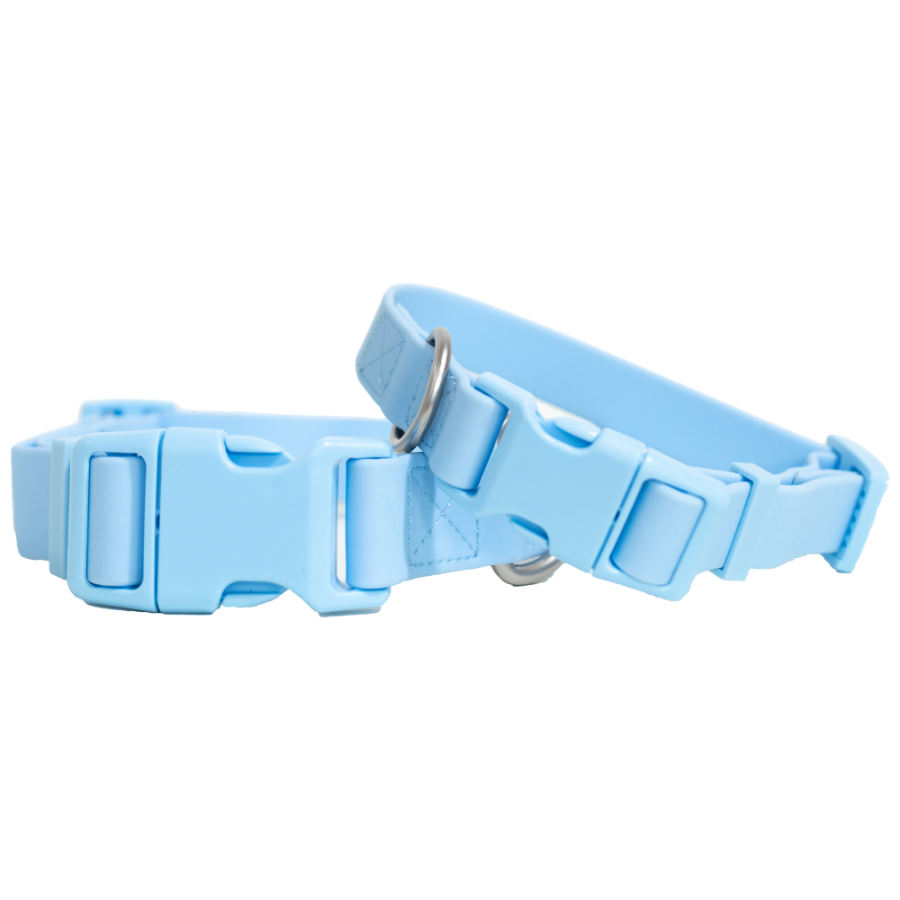 Chewy Dog Collar: Extra Large (Pack of 4)
