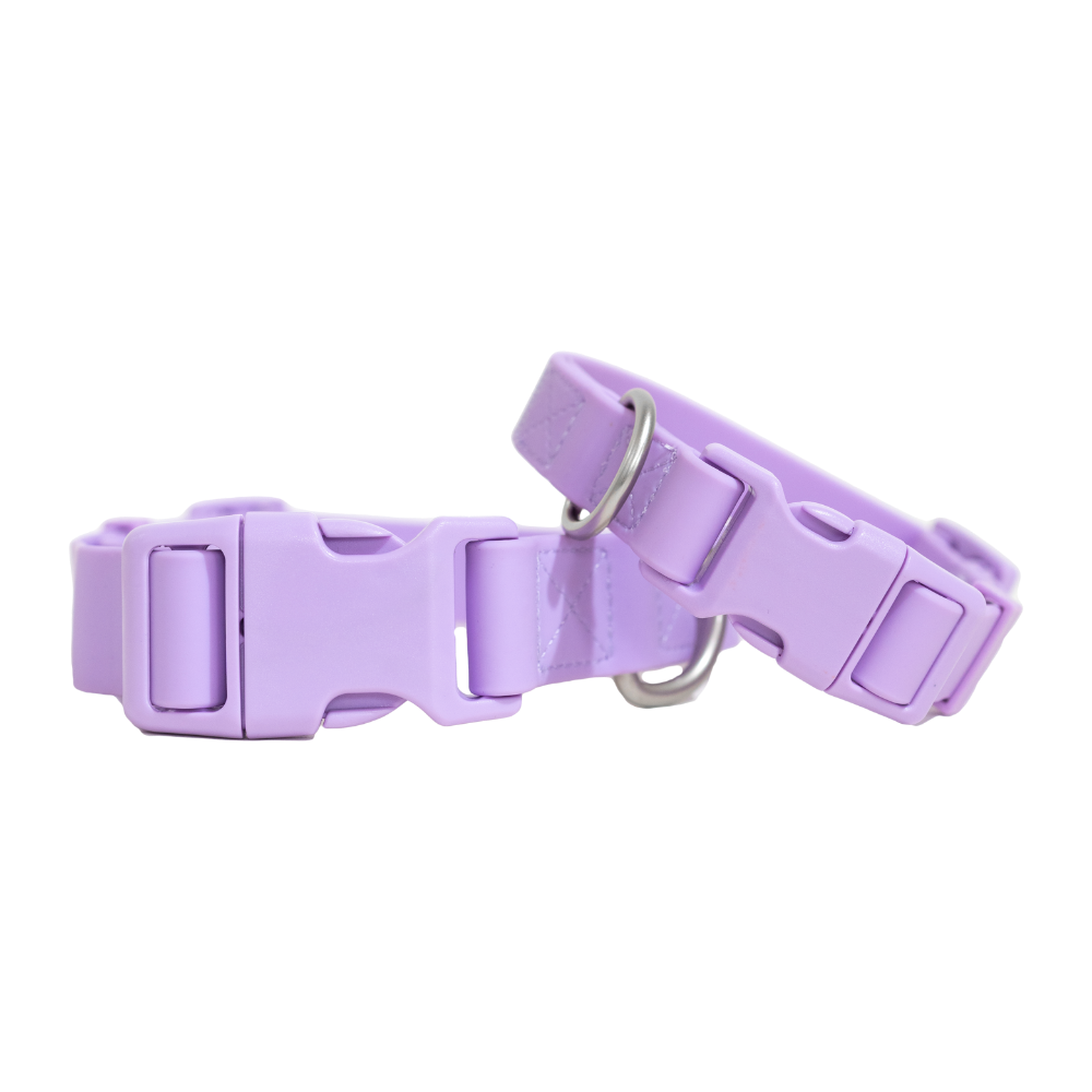 Chewy Dog Collar: Extra Large (Pack of 4)