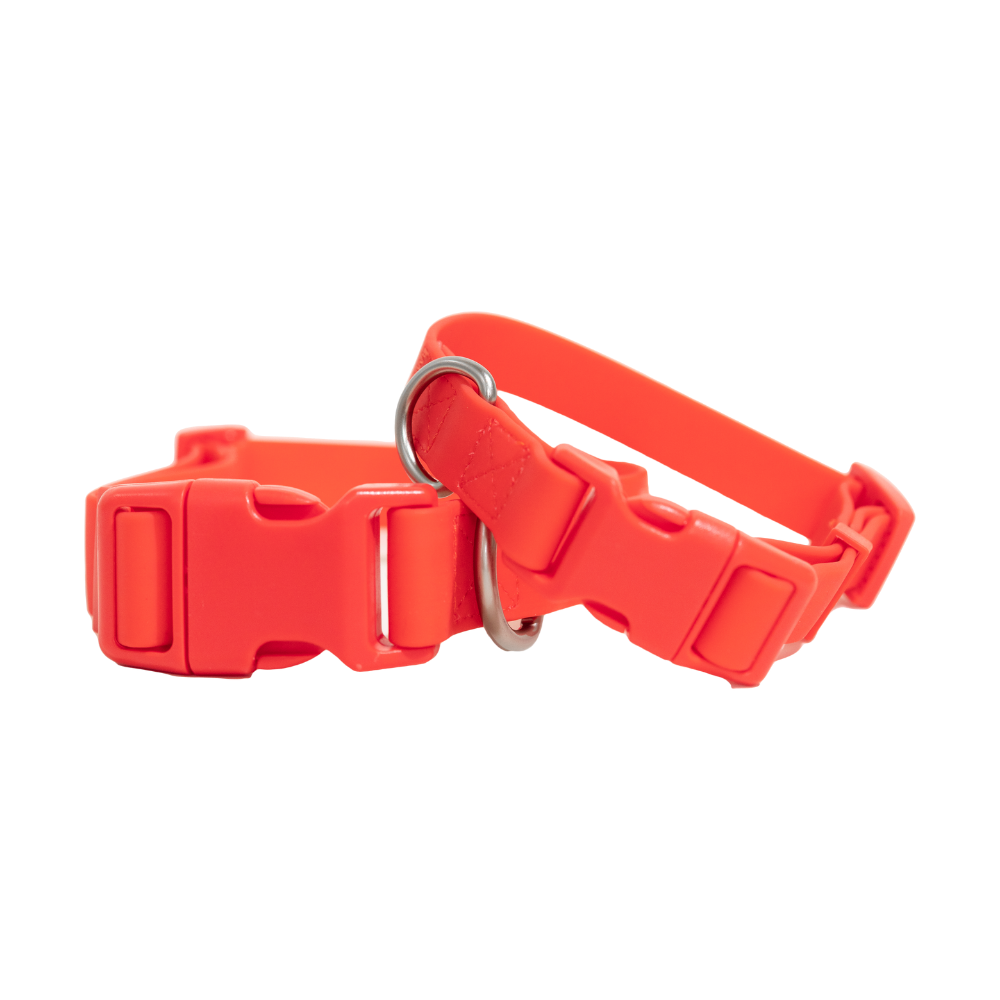 Dog Collar: Extra Large (Single)