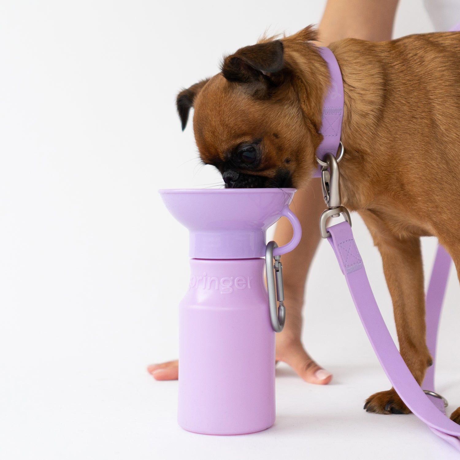 Travel Bottle & Water Bowl - Puppy Kisses