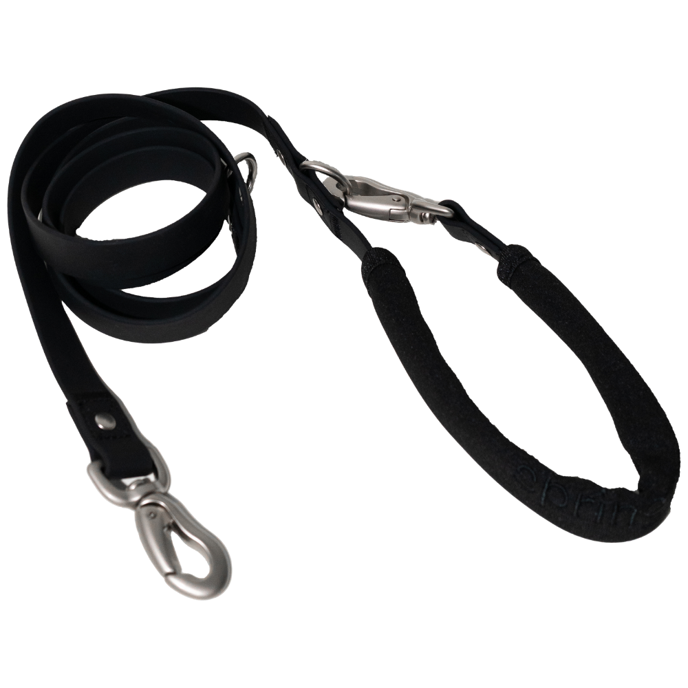 Dog Leash: Regular (Single)
