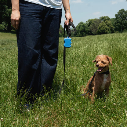 Silicone Dog Treat Dispenser Blueberry