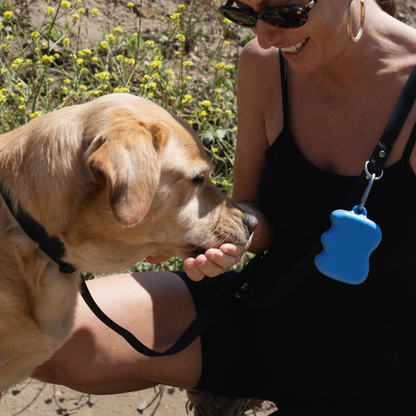 Silicone Dog Treat Dispenser Blueberry