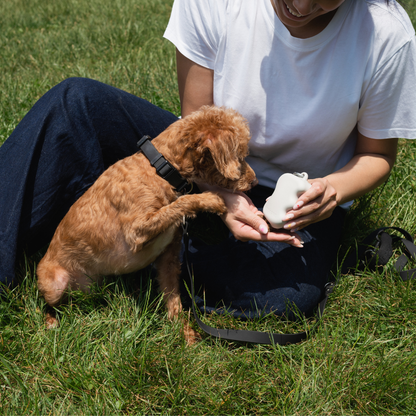 Silicone Dog Treat Dispenser Oat