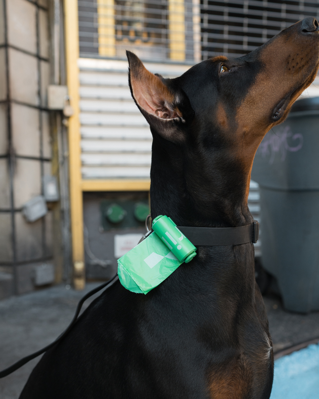 Dog Poop Bag Dispenser + 1 Roll | 15 Poop Bags (Case of 12)