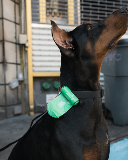 Dog Poop Bag Dispenser + 1 Roll  (Single)