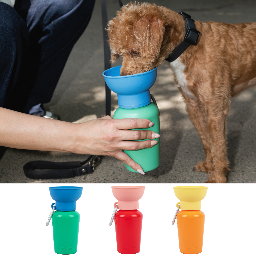 Limited Edition Flip 20oz Dog Travel Water Bottle Farmer's Market Colors (Case of 12)