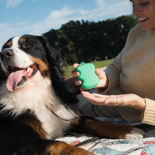 Silicone Dog Treat Dispenser (Single) Springer Green