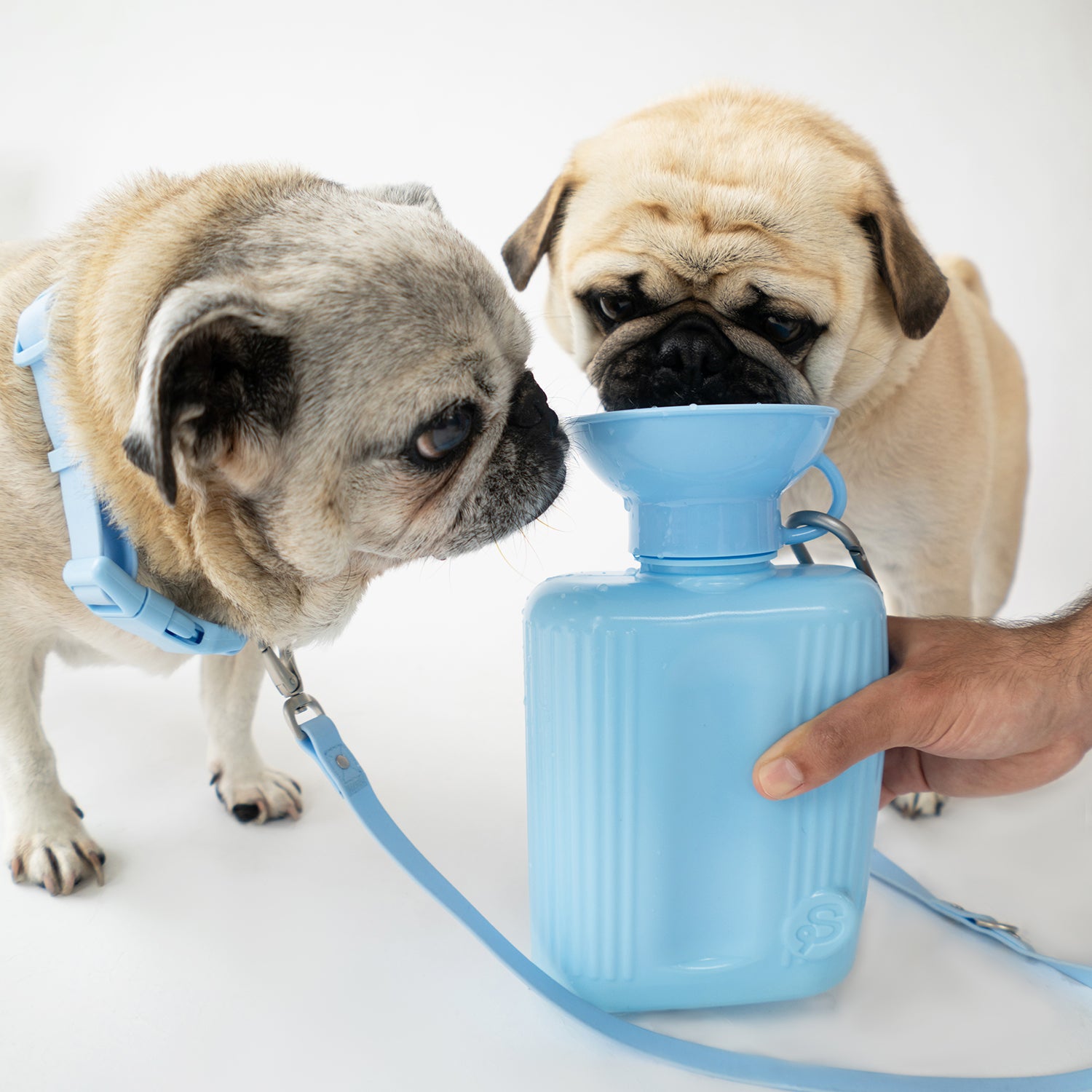 Travel Bottle & Water Bowl - Puppy Kisses