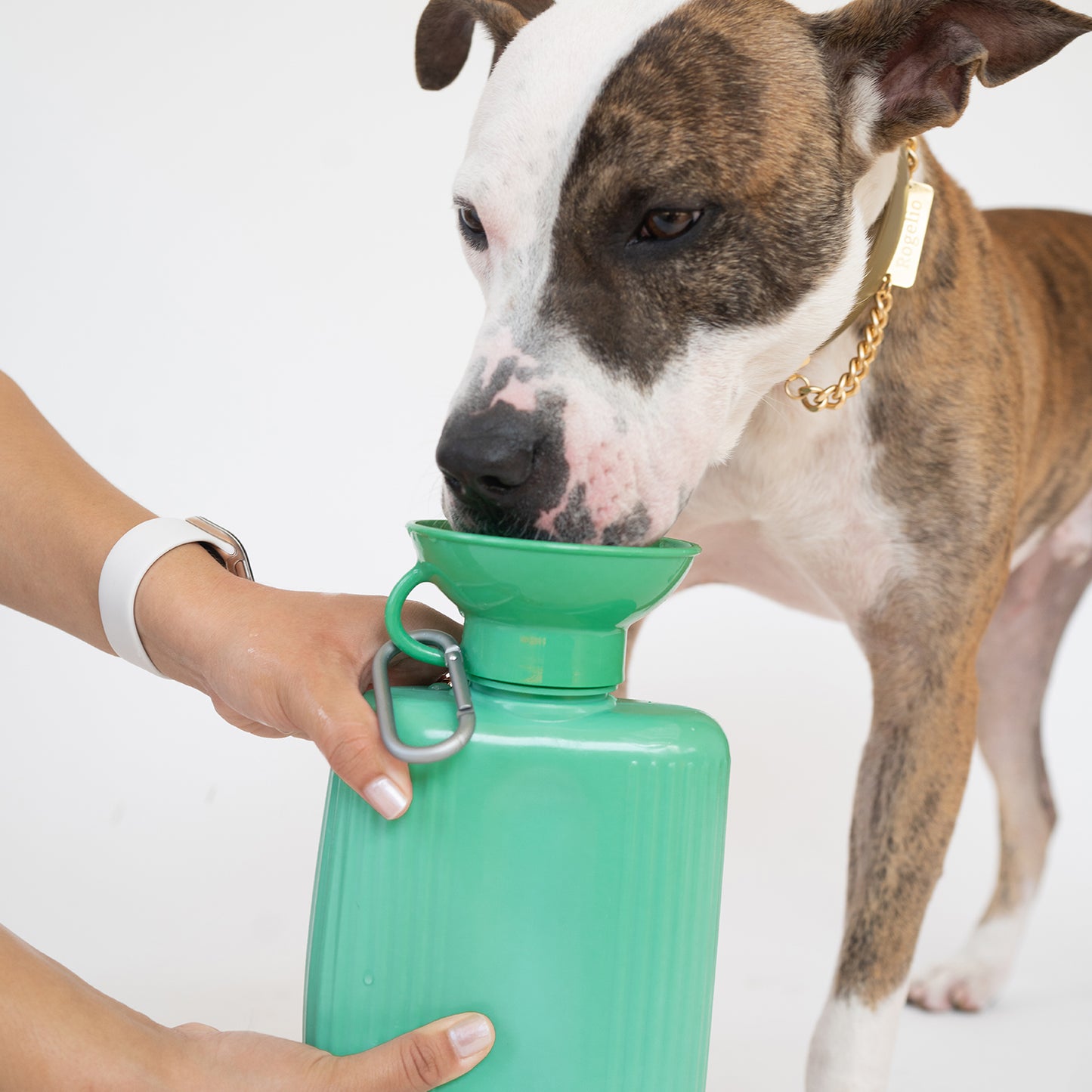 Growler Dog Water Travel Bottle (Case of 12)