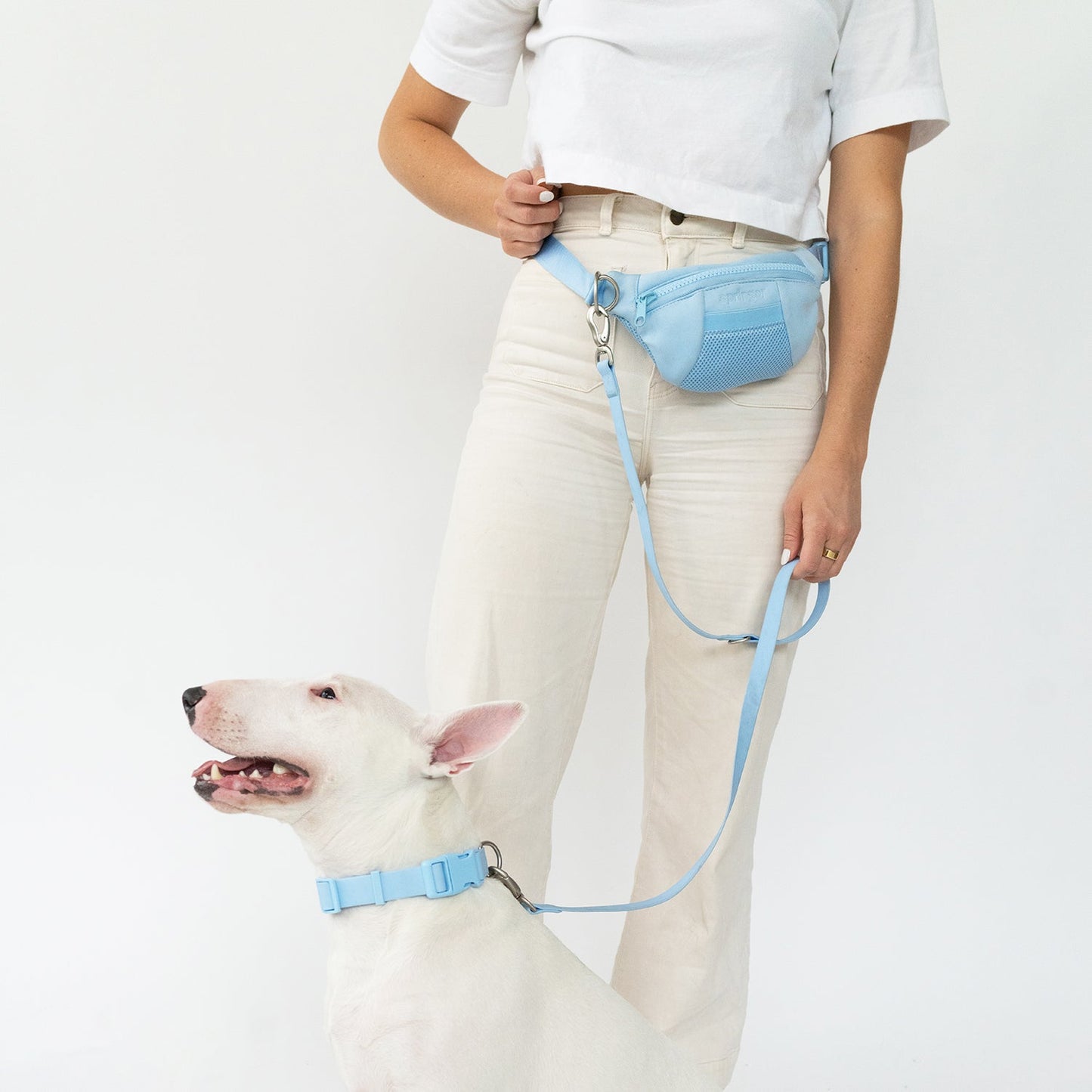 Sling Bag + Dog Leash MIXED (Case of 4)