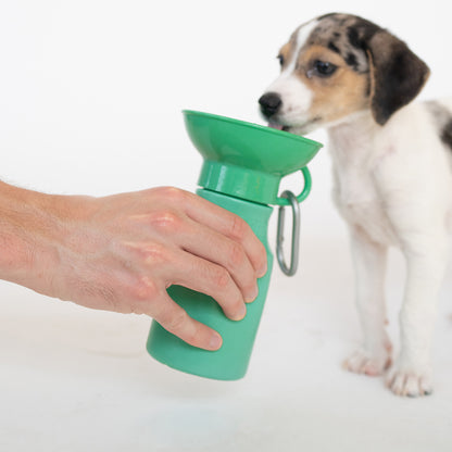 Mini Dog Water Travel Bottle (Case of 12)
