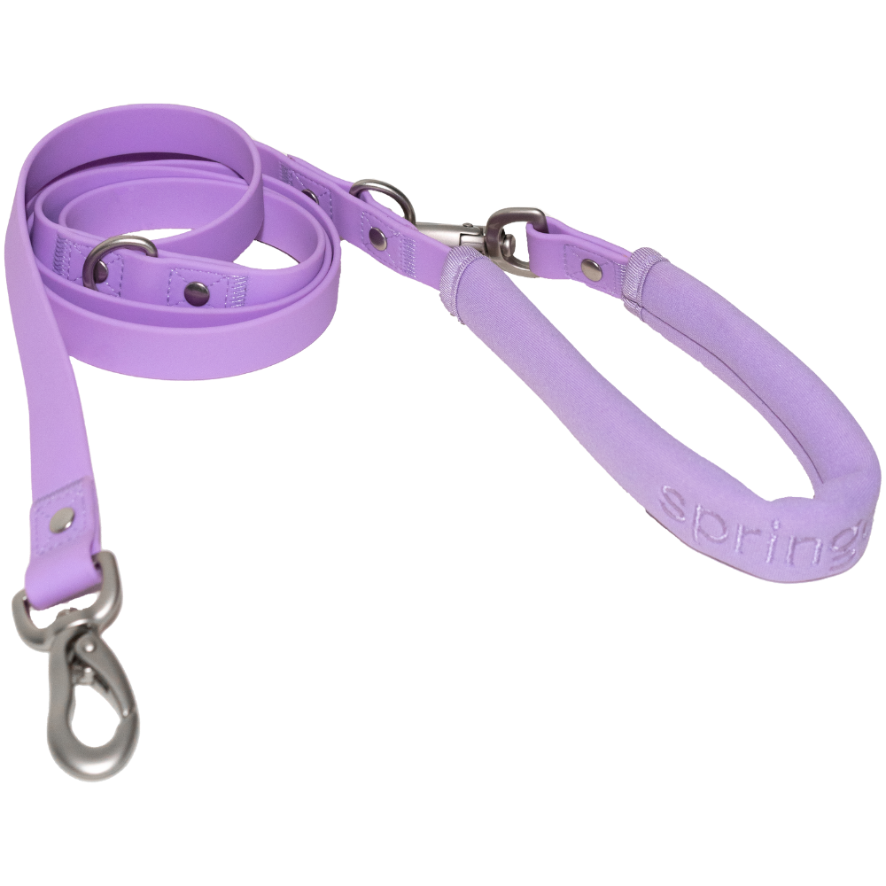 Dog Leash MIXED (Case of 3)