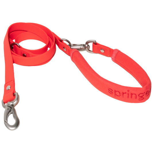 Dog Leash: Regular (Single)