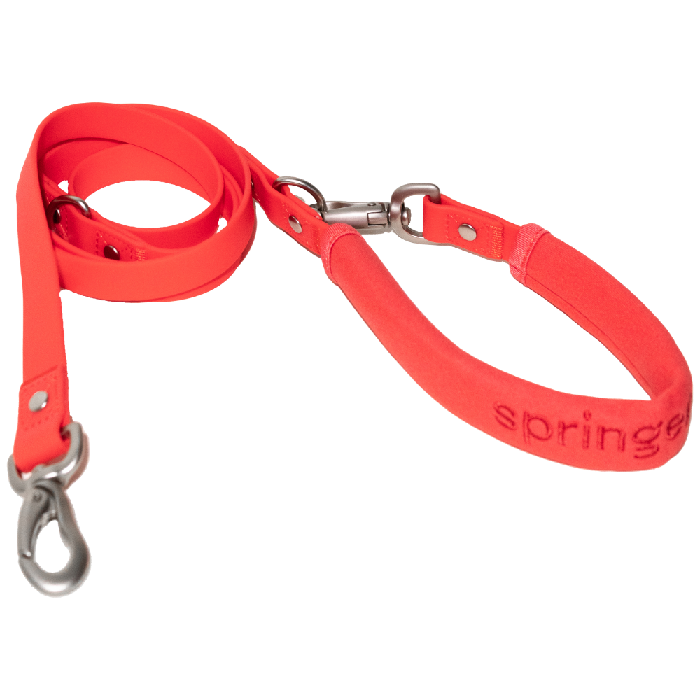 Dog Leash MIXED (Case of 3)